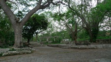 Enlarge photo 39