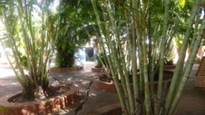 Enlarge photo 332