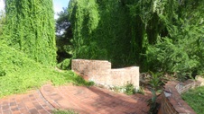 Enlarge photo 344