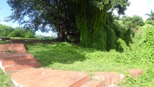Enlarge photo 345