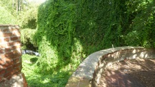Enlarge photo 346