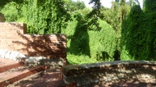 Enlarge photo 347