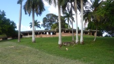 Enlarge photo 348