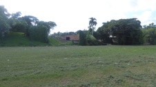 Enlarge photo 349