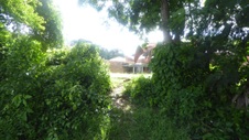 Enlarge photo 303