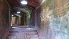 Enlarge photo 313