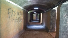 Enlarge photo 316