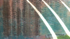 Enlarge photo 321