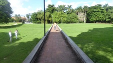Enlarge photo 277