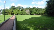 Enlarge photo 278