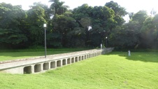 Enlarge photo 279