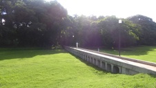 Enlarge photo 280