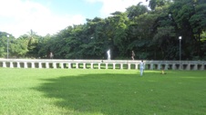 Enlarge photo 281