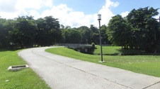 Enlarge photo 267