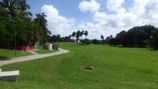 Enlarge photo 268