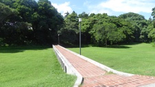 Enlarge photo 269