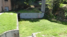 Enlarge photo 270