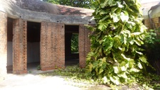 Enlarge photo 262