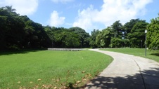 Enlarge photo 214