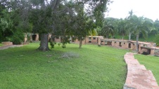 Enlarge photo 184