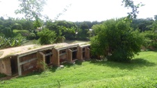 Enlarge photo 187
