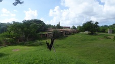Enlarge photo 188