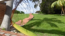 Enlarge photo 202