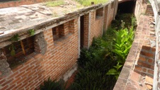 Enlarge photo 167