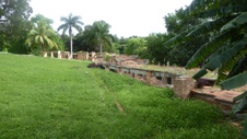 Enlarge photo 172