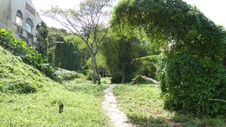 Enlarge photo 403