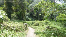 Enlarge photo 404