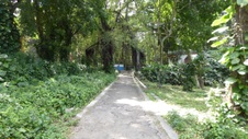 Enlarge photo 405