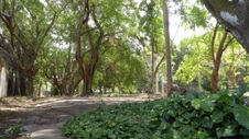 Enlarge photo 406