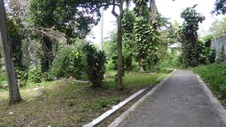 Enlarge photo 408