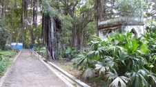 Enlarge photo 409