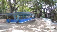 Enlarge photo 411