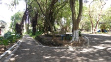 Enlarge photo 413