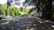Enlarge photo 415