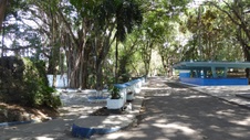 Enlarge photo 416
