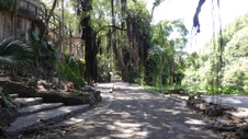 Enlarge photo 418