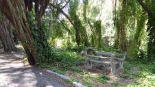 Enlarge photo 377