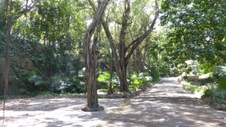 Enlarge photo 378