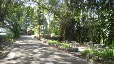 Enlarge photo 381