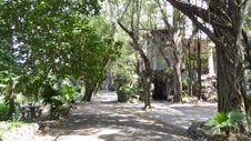 Enlarge photo 382