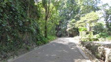 Enlarge photo 383