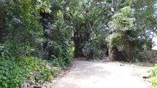 Enlarge photo 384