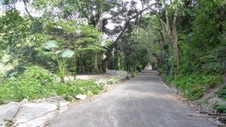 Enlarge photo 385