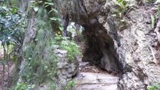 Enlarge photo 386