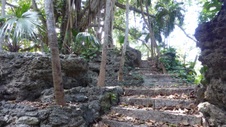 Enlarge photo 387