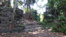 Enlarge photo 388